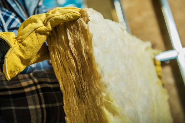 Best Insulation Maintenance and Repair in Stafford, TX