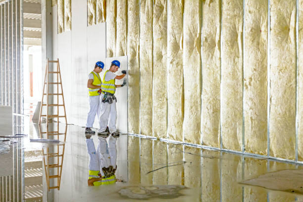 Best Specialty Insulation in Stafford, TX
